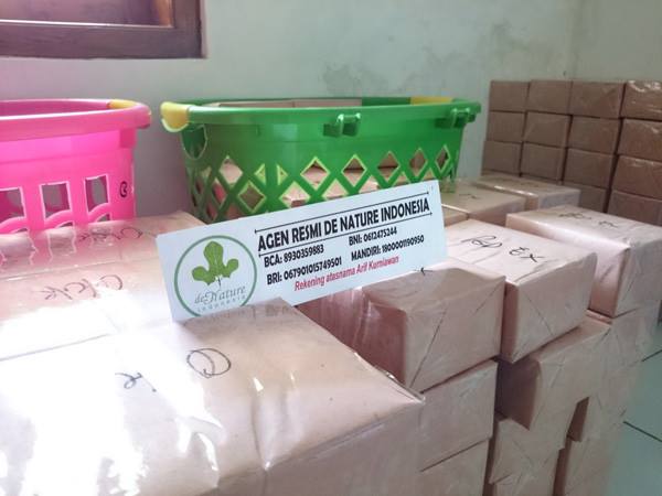 PAKET KEMASAN POLOS OBAT BATU GINJAL/KENCING BATU